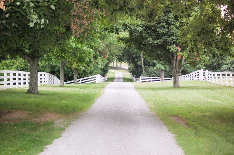 Products For Concrete Driveway Raisings in use