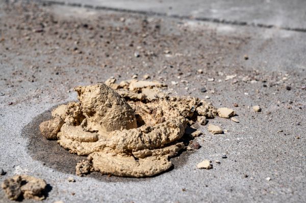 Driveway Slab Leveling - Driveway Slab Leveling Raleigh, North Carolina